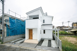 検索結果画像